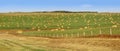 Farm landscape with Hay bales Royalty Free Stock Photo