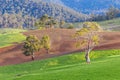 Landscape near Derby in Tasmania Australia Royalty Free Stock Photo