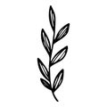 Farm leaf branch icon, hand drawn and outline style