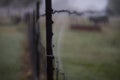 Farm life dismal blur with cattle and fencing