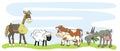 Four farm animals, horse, sheep, cow and goat on meadow, funny vector illustration Royalty Free Stock Photo