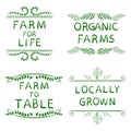 FARM FOR LIFE, ORGANIC FARMS, FARM TO TABLE, LOCALLY GROWN. Hand drawn typographic elements isolated on white. Green