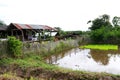 Farm life, wood house with bamboo fence and cow of agricultural at rural in Thailand Royalty Free Stock Photo