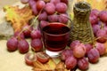 Farm made wines wicker bottle and grapes Royalty Free Stock Photo