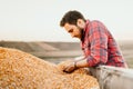 Farm male worker holding corn production in tractor trailer Royalty Free Stock Photo