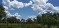 Farm in man working and oxe clouds and blue sky