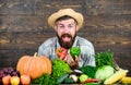 Farm market harvest festival. Man mature bearded farmer hold vegetables wooden background. Sell vegetables. Grocery Royalty Free Stock Photo