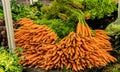 Farm Market in Union Square, New Yok - bunches of carrots