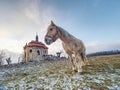 Farm meadow for horses at church or chapel