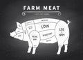 Farm meat. Pork of cuts infographic. Pig parts for butcher on chalkboard. Vintage diagram for shop. Menu on chalk chart