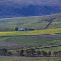 Farm in Upper Teesdale, County Durham