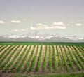 Farm and Mountains