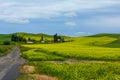 A Farm and a Mustard Crop