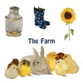 Farm objects and animals: gray fluffy hare rabbit, small yellow chick, nest with eggs, gumboots and sunflower isolated Royalty Free Stock Photo