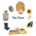 Farm objects and animals: gray fluffy hare rabbit, small yellow chick, nest with eggs, gumboots and sunflower isolated Royalty Free Stock Photo