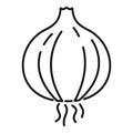 Farm onion icon, outline style Royalty Free Stock Photo