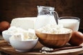 Farm organic dairy products: milk, yogurt, cream, cottage cheese Royalty Free Stock Photo