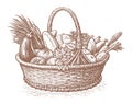Hand drawn basket full of fresh vegetables. Farm organic food. Sketch vintage vector illustration Royalty Free Stock Photo