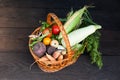 Farm organic nutrient concept, ripe raw vegetables Royalty Free Stock Photo