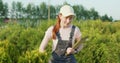 farm owner in uniform and cap inspecting lants, thuja in greenhouse