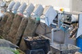 Farm oyster sorting machine by size ready to delivery and sall Royalty Free Stock Photo