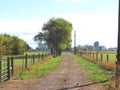 Farm path