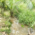 Farm path river