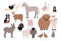 Farm pets colorful collection. Cute domestic animals set. Hand drawn vector illustration on white background.