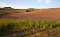 Farm Plowed Field Spring Planting Palouse Royalty Free Stock Photo