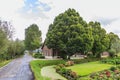 Farm in polder landscape, half-hidden behind row of trees