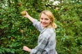 Farm producing organic eco friendly natural product. Girl gather apples harvest garden autumn day. Farmer lady picking Royalty Free Stock Photo