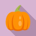 Farm pumpkin icon, flat style