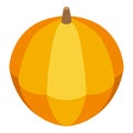 Farm pumpkin icon, isometric style