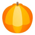 Farm pumpkin icon, isometric style