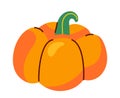 Farm pumpkin icon