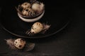 Farm Quail eggs in a ceramic plate on a black background.Organic natural bio quail eggs with feathers.Useful healthy Royalty Free Stock Photo