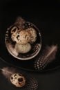 Farm Quail eggs set in a black ceramic plate on a black slate background.Organic quail eggs with feathers.natural Royalty Free Stock Photo