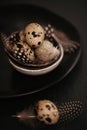 Farm Quail eggs set in a black ceramic plate on a black slate background.Organic natural bio quail eggs with feathers Royalty Free Stock Photo