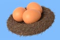 Farm raw organic brown eggs bird nest isolated on blue background Royalty Free Stock Photo