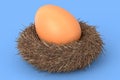 Farm raw organic brown eggs bird nest isolated on blue background Royalty Free Stock Photo