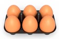 Farm raw organic brown eggs for morning breakfast in plastic tray