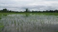 Farm river water assam village view