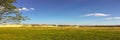 Farm road with harvested green fields in sunset light. Road and green grass field. Blue sky. White clouds Royalty Free Stock Photo