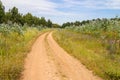 Farm road in Vale Seco, Cercal