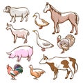 Farm rural and domestic meat animals set Royalty Free Stock Photo