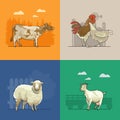 Farm rural landscape with goat, sheep, cow, hen and cock. Agriculture vector illustration. Colorful countryside. Royalty Free Stock Photo