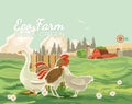 Farm rural landscape with hen and cock. Agriculture vector illustration. Colorful countryside. Poster with vintage farm Royalty Free Stock Photo