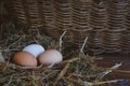 Farm rustic chicken eggs in a nest on a wooden panel Royalty Free Stock Photo