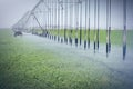 Farm's crop being watered by sprinkler irrigation system Royalty Free Stock Photo