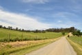 Farm`s Dirt Road